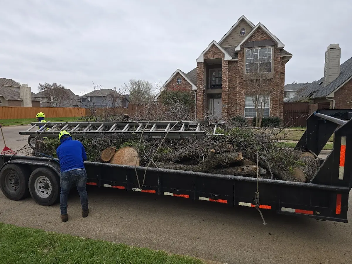 Expert Tree Pest Control with proper safety equipment in Renick